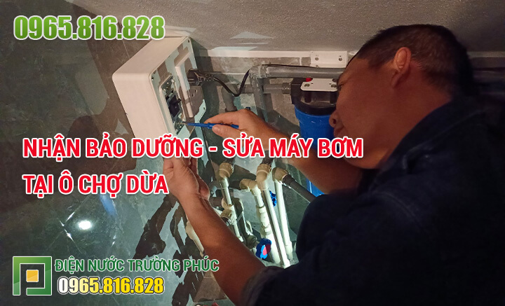 Nhận bảo dưỡng - Sửa máy bơm tại Ô Chợ Dừa
